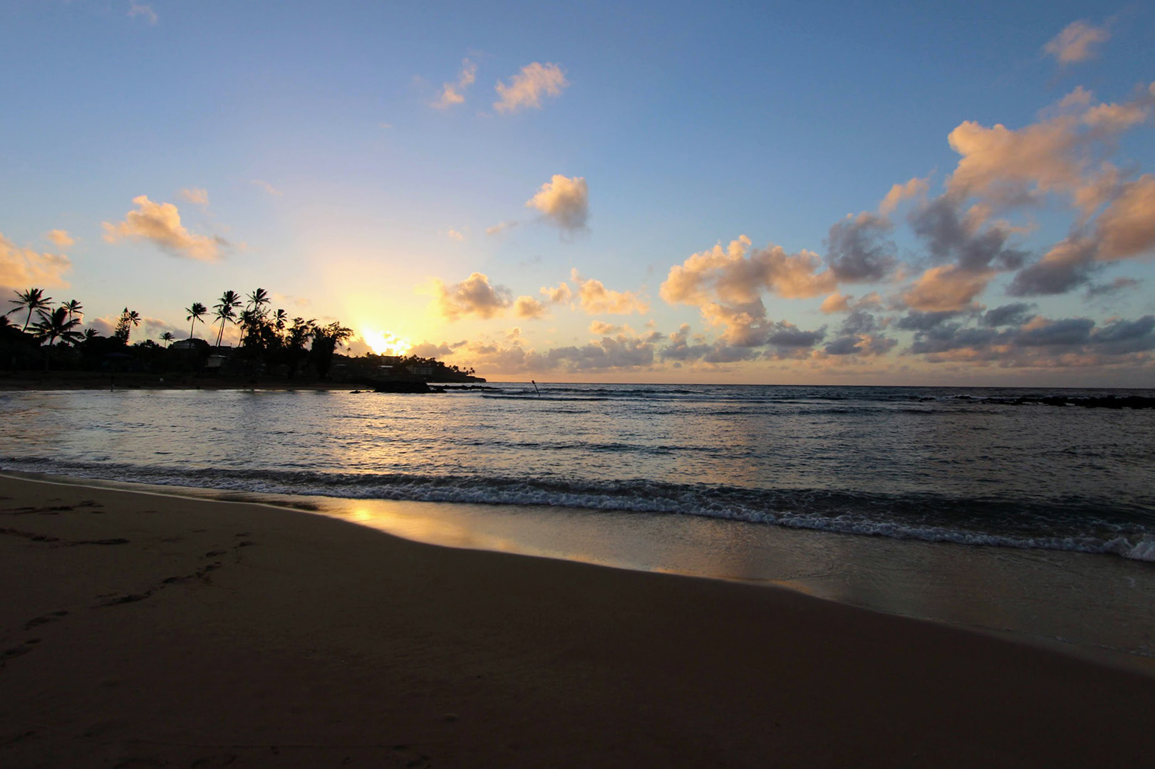 The sun rising over palm trees across a beach on the ocean