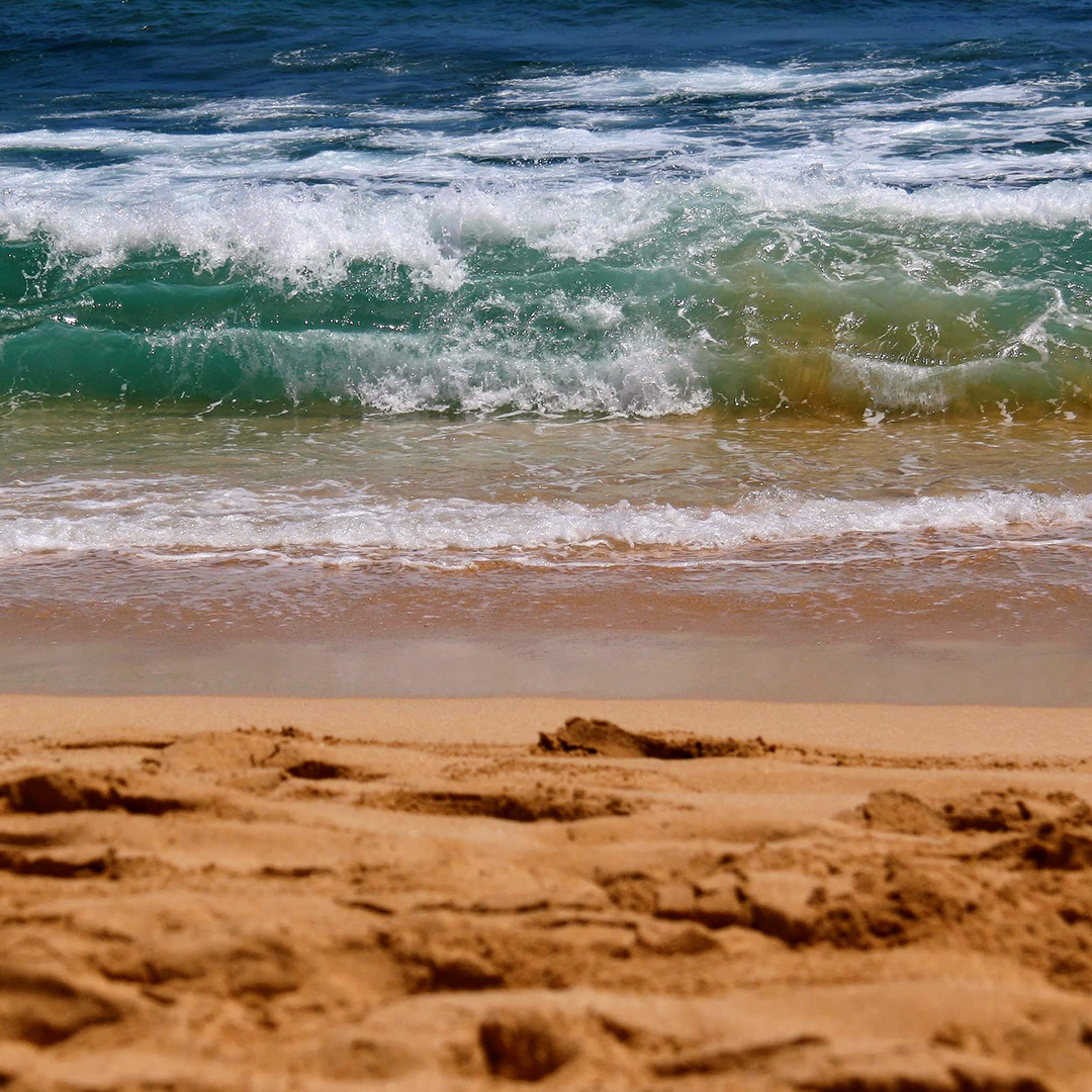 A crisp shot of a small wave about to crash on the sand